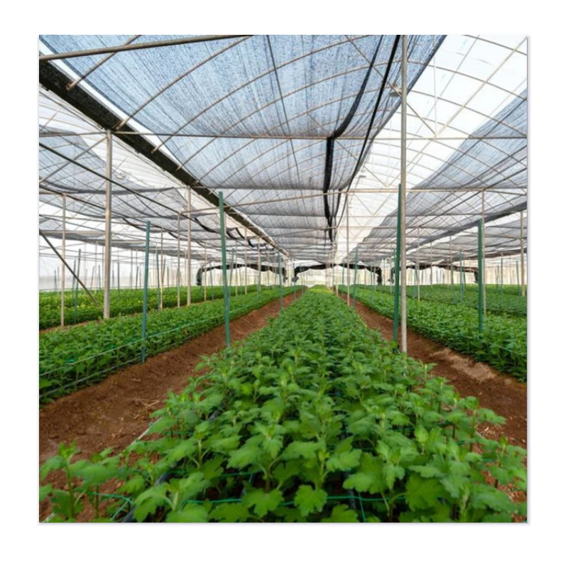 Affordable Greenhouses that Outperform in Durability and Wind Resistance