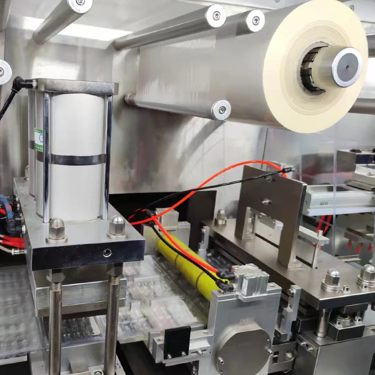 Automatic Capsule Packaging Machine Cartoning Machine Packaging Production Line