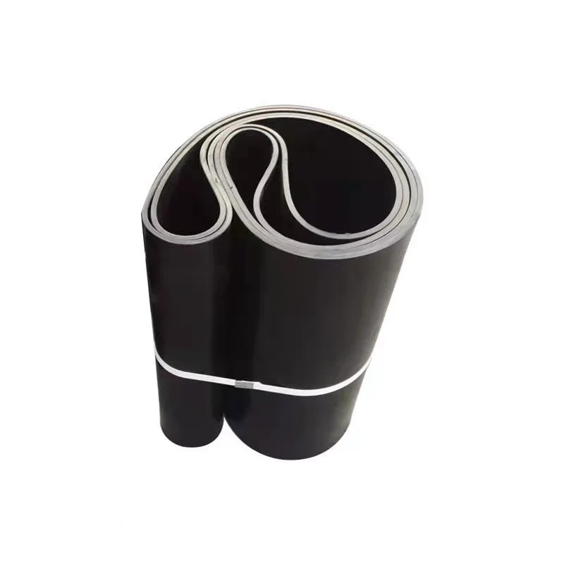 High quality coal mine special conveyor belt EP200 Special rubber conveyor belt price