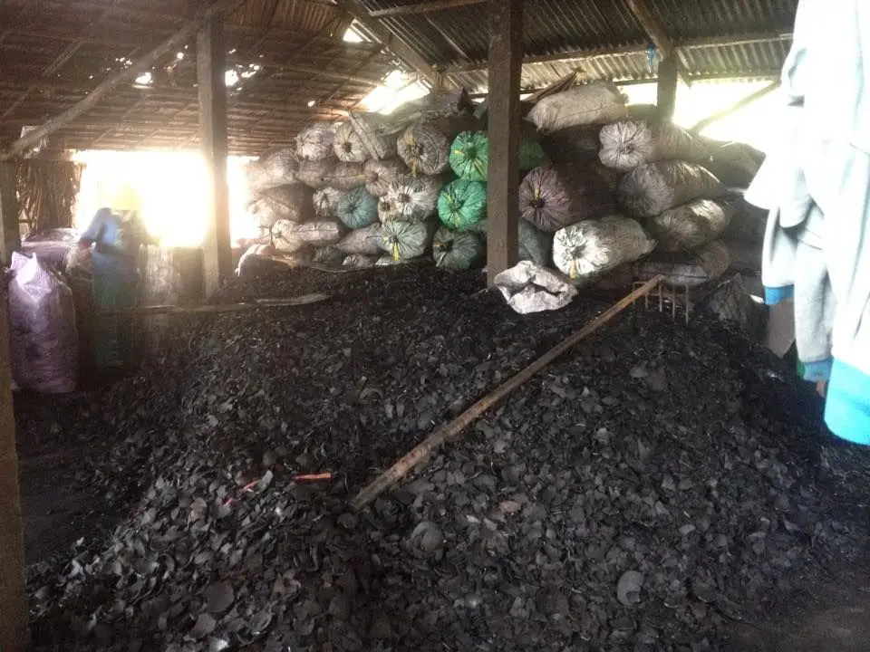 Кокосовый уголь для барбекю, уголь/уголь для кальяна-экспортное стандартное качество из Вьетнама по самой низкой цене