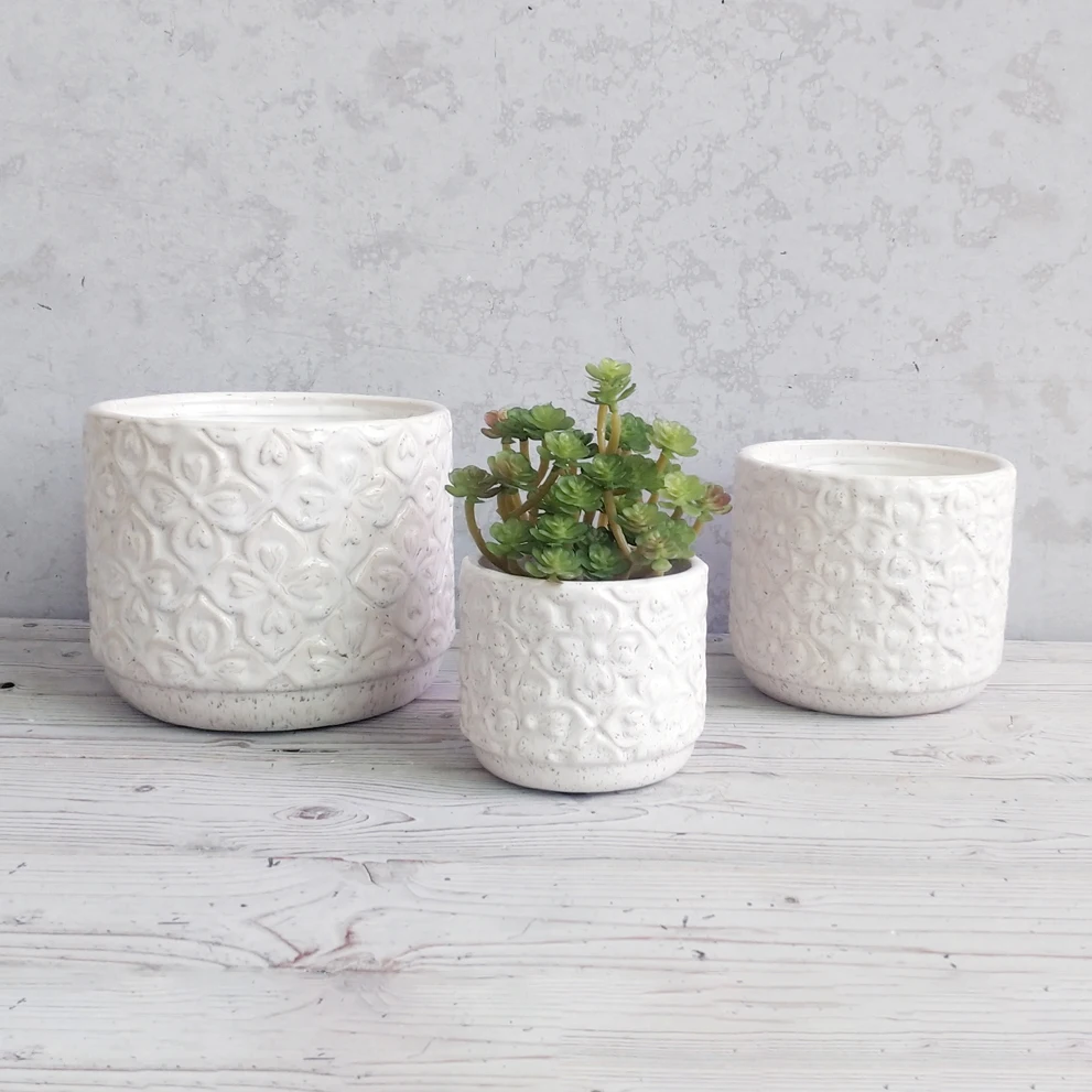 Современный домашний декор Балконный цветочный горшок белый рельефный для суккулентов