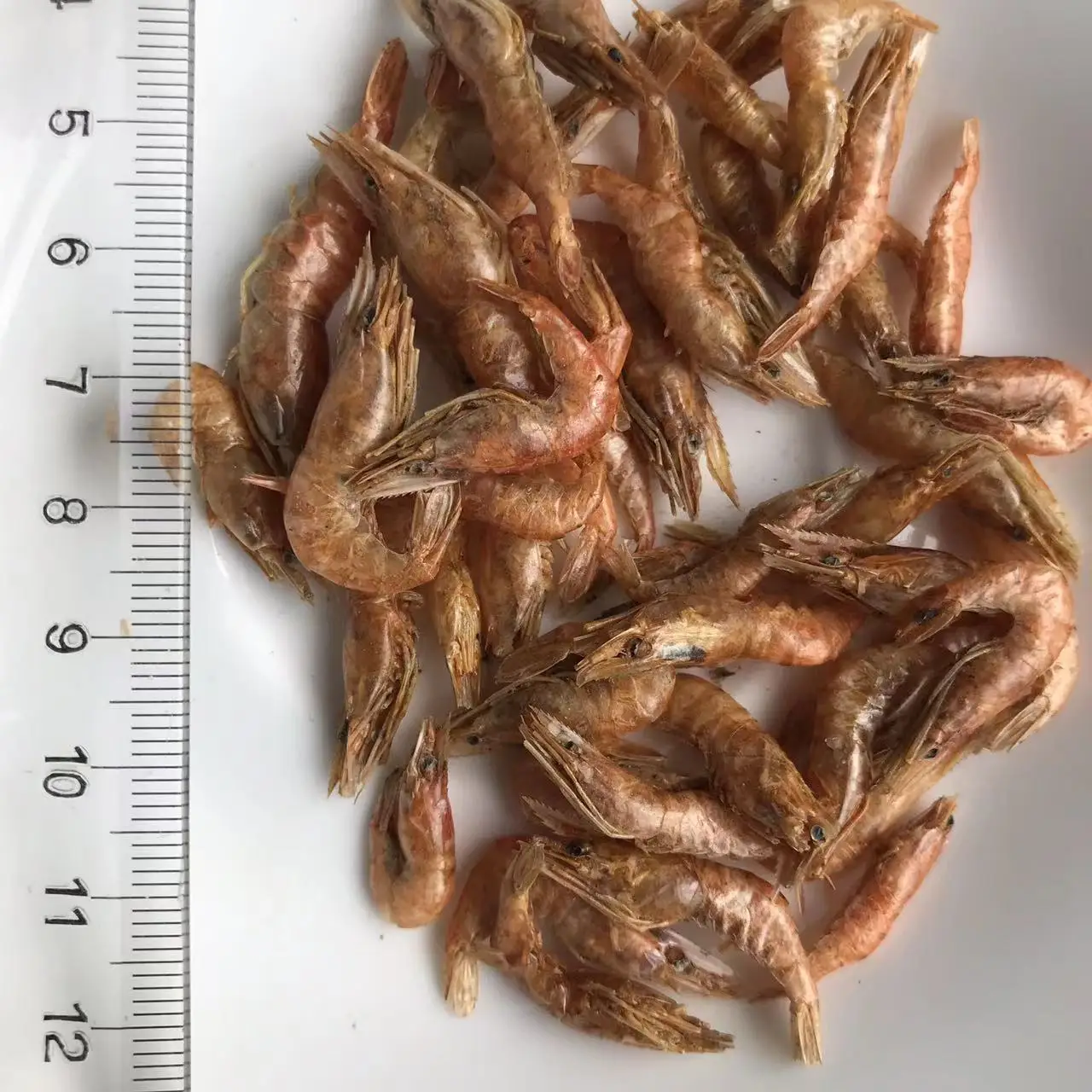 Dried River Shrimp Dried Red Shrimp for Fish Turtle Pet