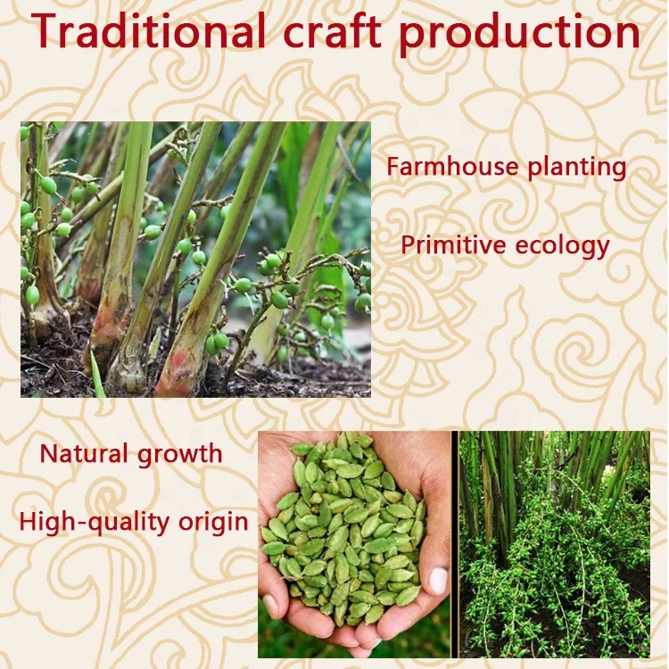 ZZH Preferential price of high-quality cardamom guatemala green cardamom seeds Organic cardamom