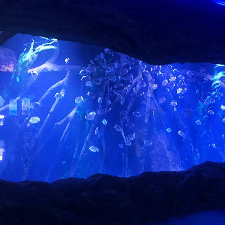 Acrylic Glass For Aquarium Tank Large High Gloss Sheet Viewing
