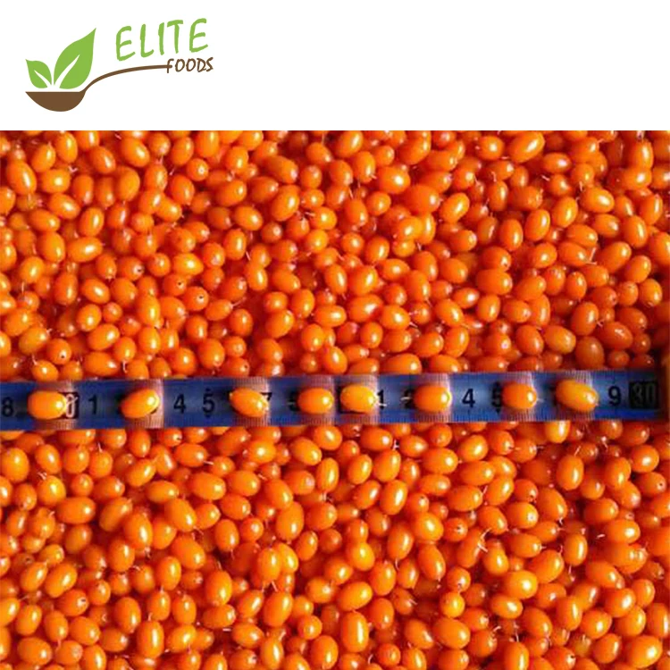 Wholesale IQF fresh frozen style sea buckthorn organic