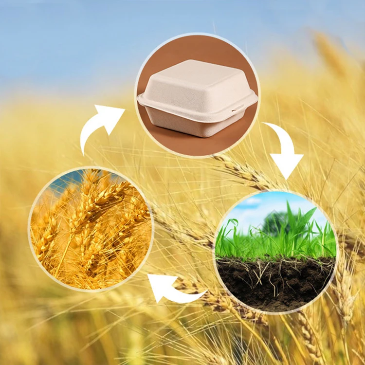 Biodegradable Brown Lunch Food Hamburger Clamshell Burger Paper Box 6 7 8 Inch Disposable Sugarcane Bagasse Paper Plates Bowls