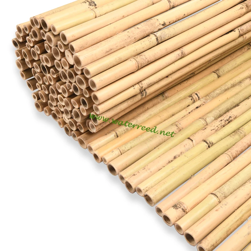 Bamboo bunch Fence