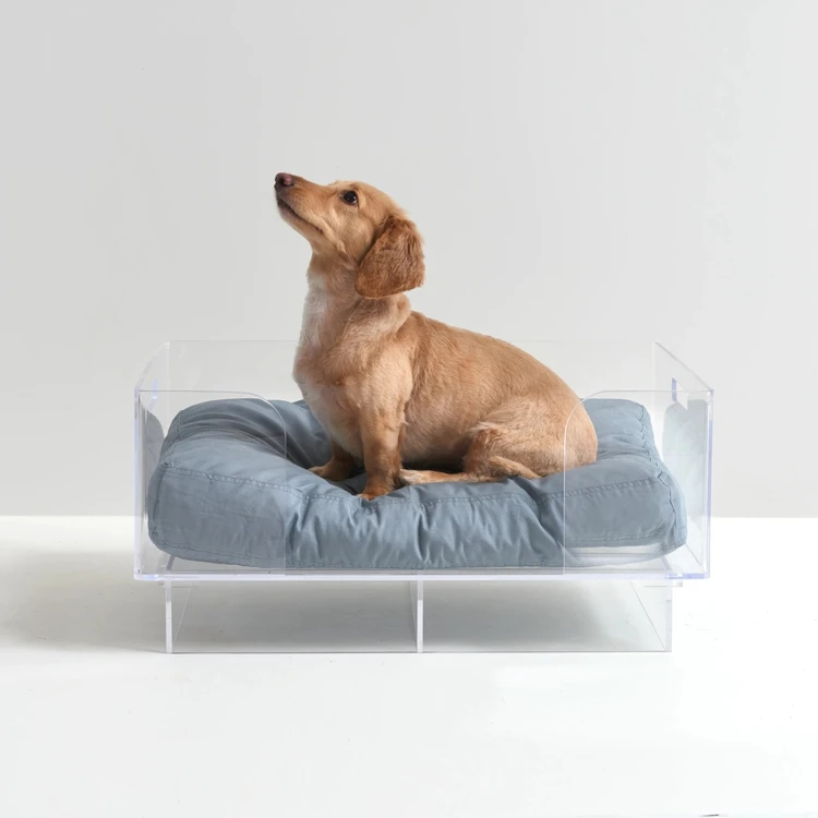 JAYI High Quality Clear Acrylic Dog Cat Pet Bed with Handle
