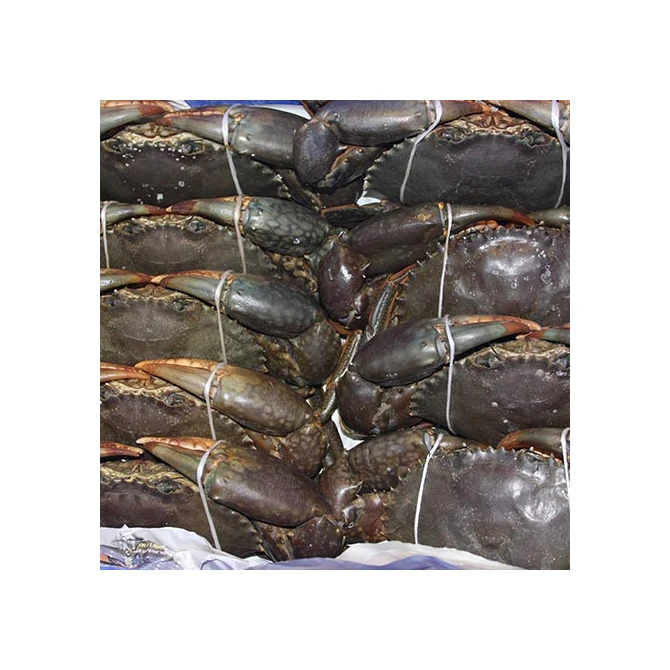 Wholesale Supplier Whole Frozen Fresh Seafood Brut Nature Price King Crab Soft Shell Crab Blue Crab For Sale