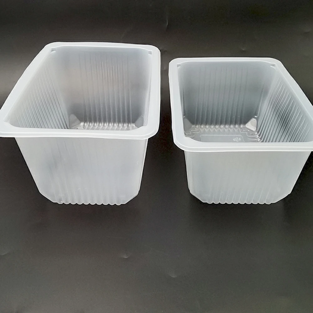 Custom Disposable Plastic Packaging Frozen Tofu Fruit Bread Food Packing Tray