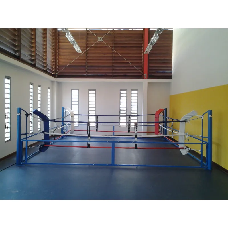 Popular Folding Boxing Ring FOLDABLE BOXING RING for Export