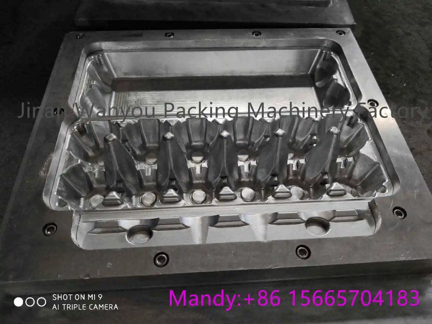 Jinan Wanyou fully automatic paper egg tray making machine with egg tray dryer