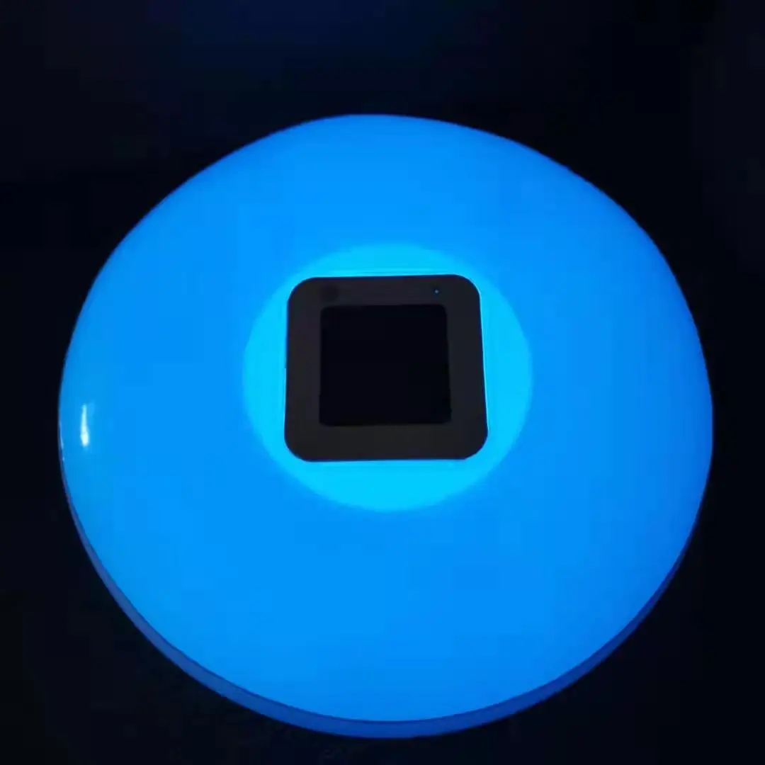 Decorative Lighting Floating Solar Light Flat Ball for Swimming Pool