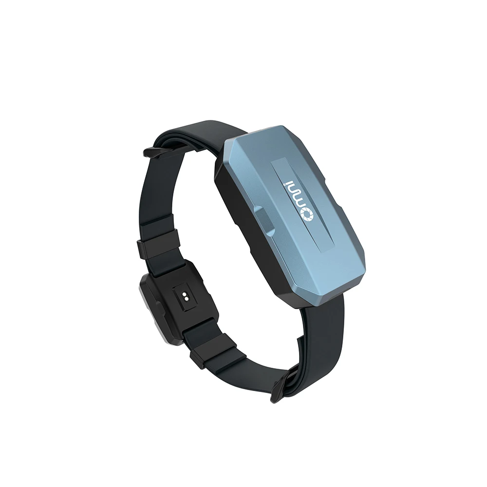 Newest Pet Implant Gps Tracking System Ip67 Waterproof  WIFI Real Time Positioning Smart Pet GPS Tracking Collar Device