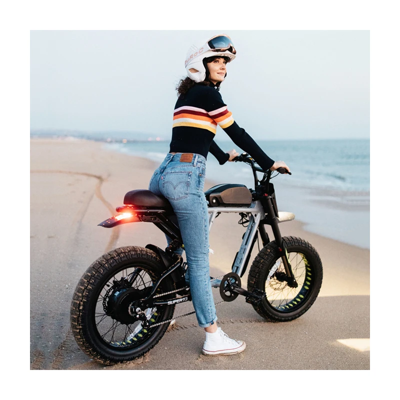 500w 800w 1000w 48v 23Ah charging electric Mountain Bike Shimano Retro fat tire frame high range electric e bicycle