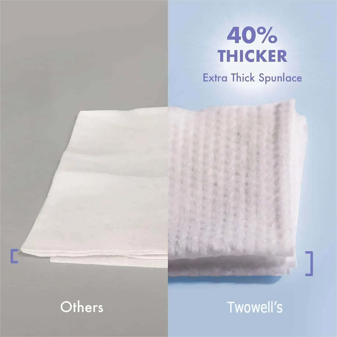 Eco Friendly Pet Biodegradable Bathing Wipe Grooming Cleaning Gloves Customize Disposable Hypo-Allergenic Dog Carbon Wet Wipes