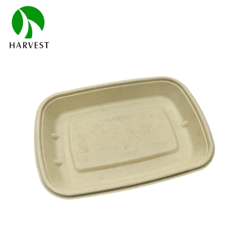 500ml  Disposable food packing microwavable sugarcane bamboo plates