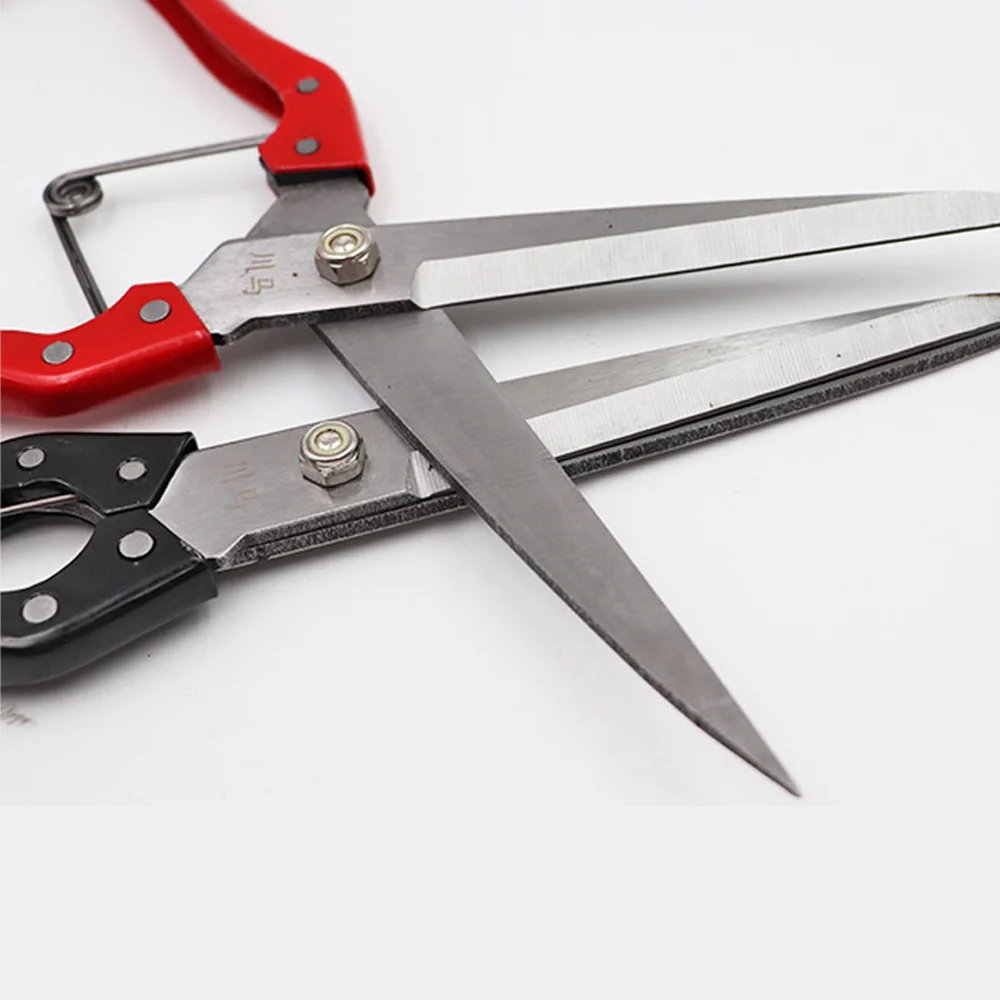 Stainless Steel Garden Grafting Pruner Scissors Shears Wool Cutter Hand Clippers Manual Sheep Wool Shears