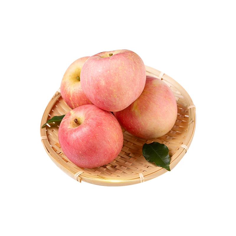 Fresh red fuji apple fruit fresh natural fresh apple manufacturers