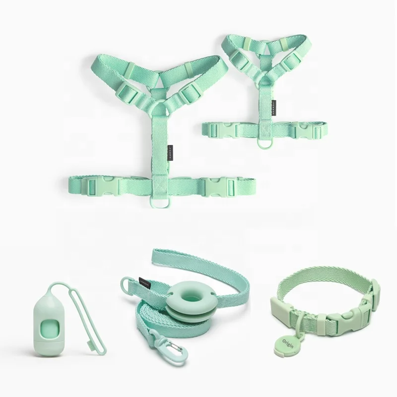 2023 образец, Бесплатная индивидуальная одежда для Макаруны, без выгула, для маленьких собак, Роскошный дизайнерский Регулируемый ошейник для кошек, набор поводков