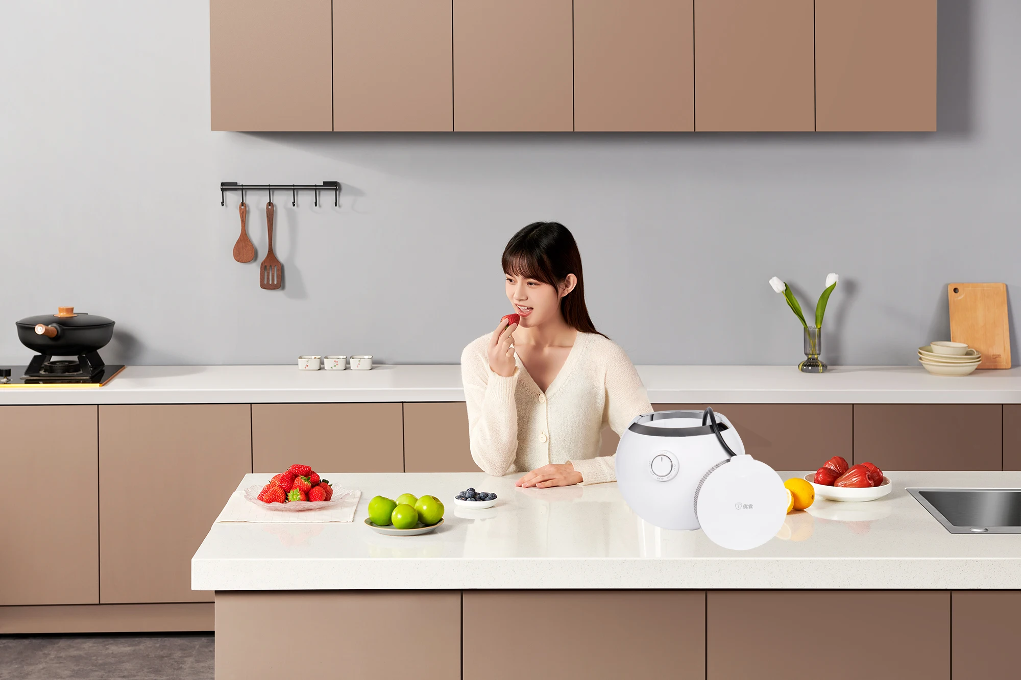 Direct Sales Home Use Desktop kitchen Ozone Cleaning 65w Mechanical Abs Pc Fruit And Vegetable Purifier