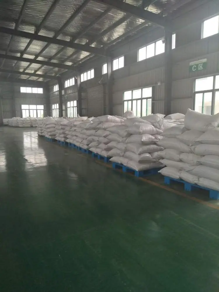 
Wholesale vegan organic protein powder rice protein isolate for meal replacement 