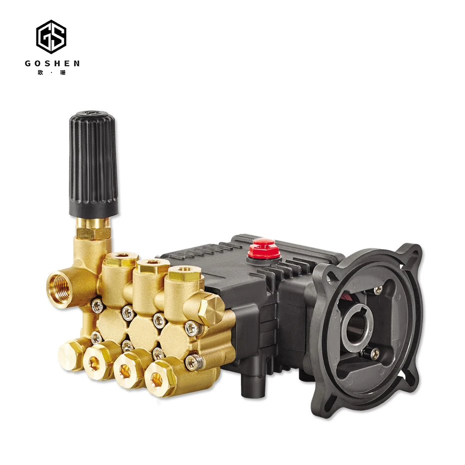 OEM 100bar плунжерный водяной насос высокого давления