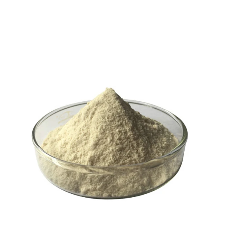 Lipase enzyme for bakery