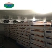 High Temperature walk in freezer cold room refrigeration In Zambia Walk In cooler for sale