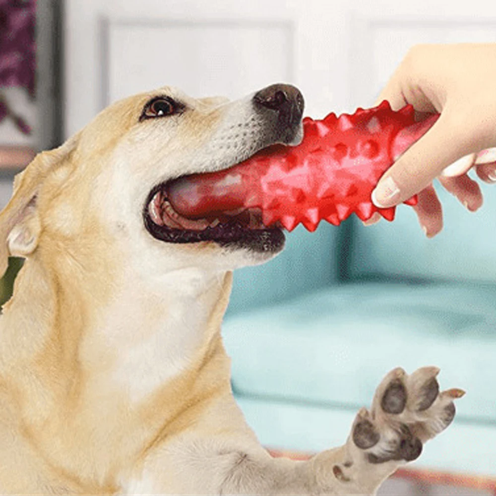 Pet chewing toy  cleaning teeth pet dog bones bite resistant rubber nylon bones pet toys