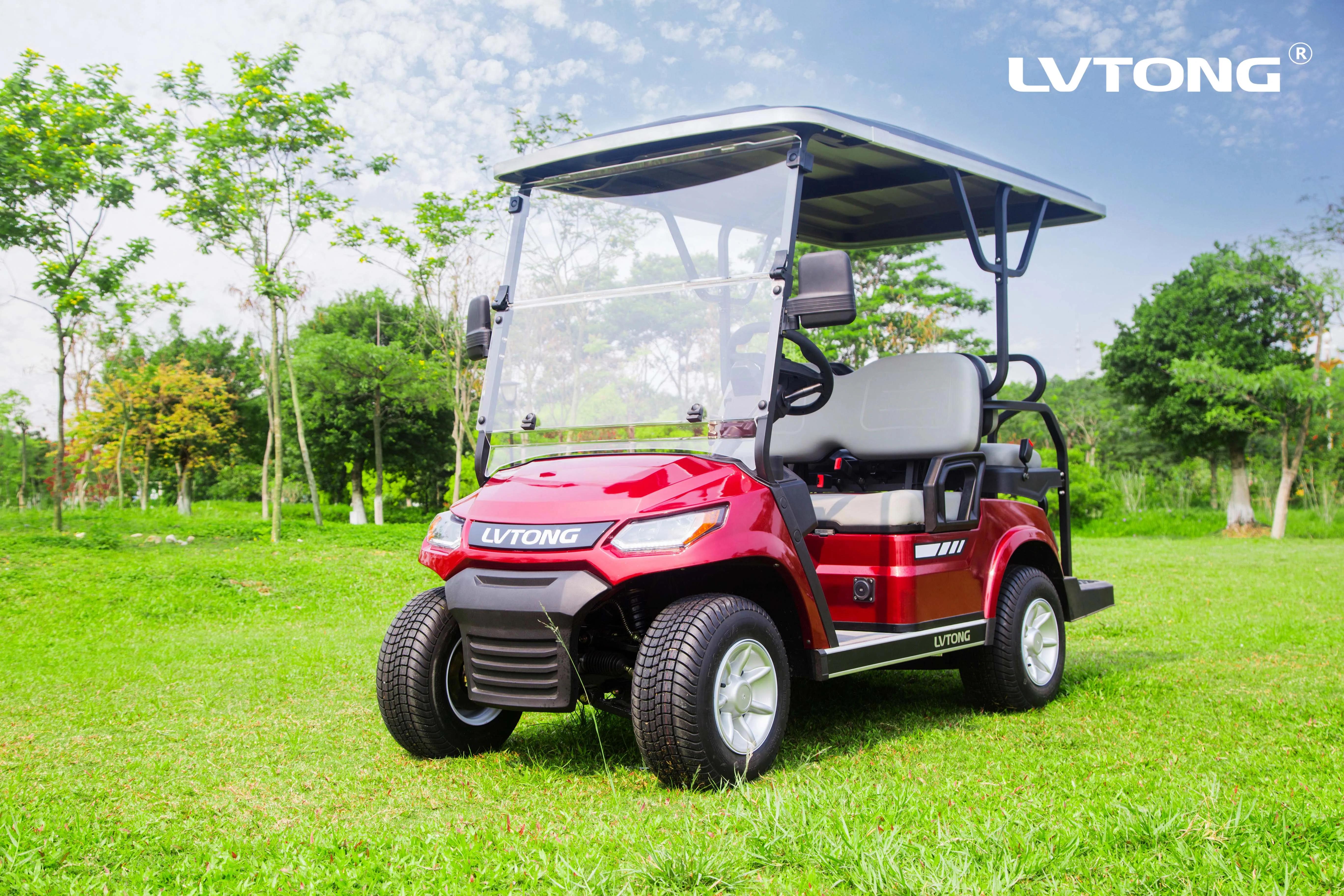 Stand Up Street Legal Zone Electric Utility Cart Golf Cart Car Golfcart Electric From China