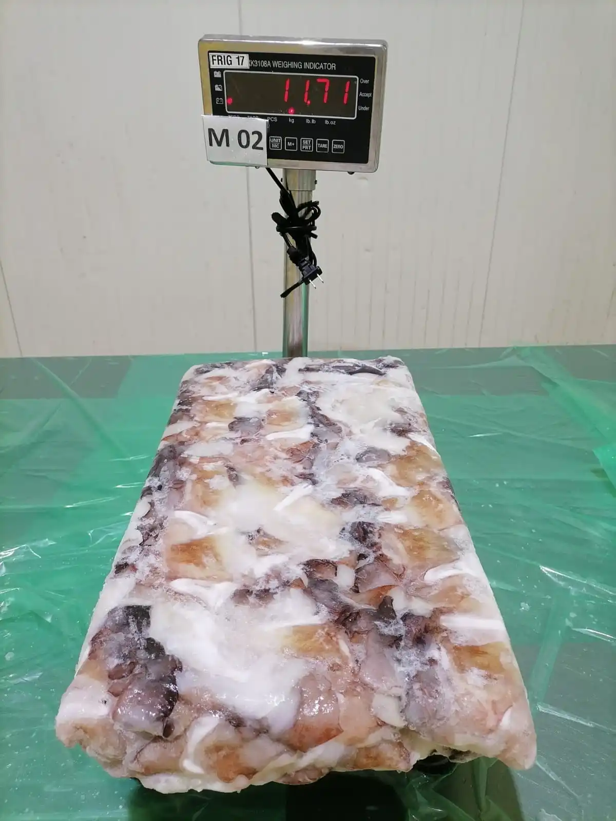 Frozen Giant Squid Fillet with Wings Premium Quality Seafood