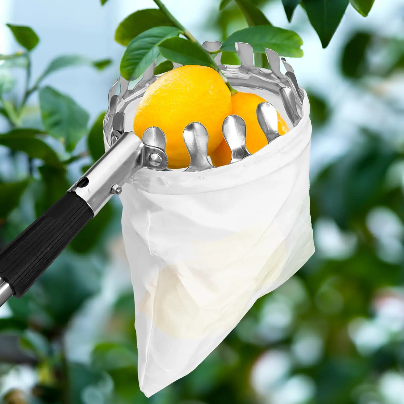 High Quality Adjustable Telescoping Fruit Picker Pole Big Non Woven Basket Fruits Catcher Tree Picker for Apples Mango