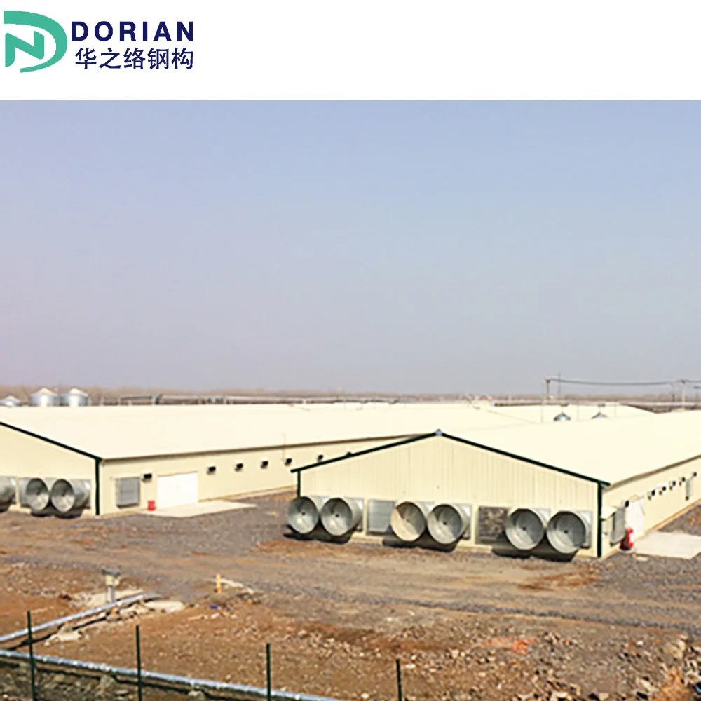 Low Cost chicken house floor poultry farm Designs Prefabricated Steel Structure chicken farm building kit sets nz