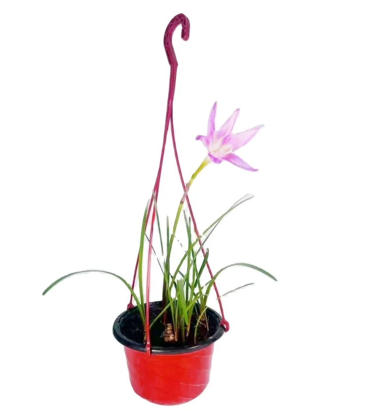 plastic hanging flower  baskets