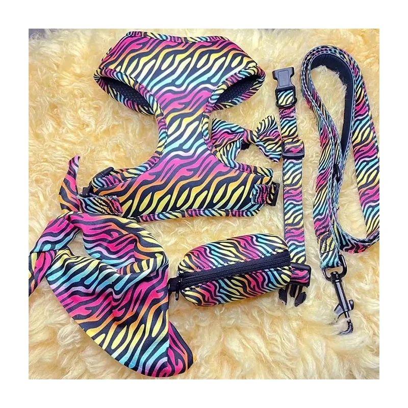 Printed  Pattern Adjustable Nylon Martingale Heat Transfer Pet leash Collar for Dogs Scarf Bandana