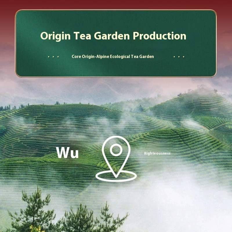 Bulk Organic Gunpowder Green Tea 9501 Manufacturer Supply Slimming Chunmee Green Tea