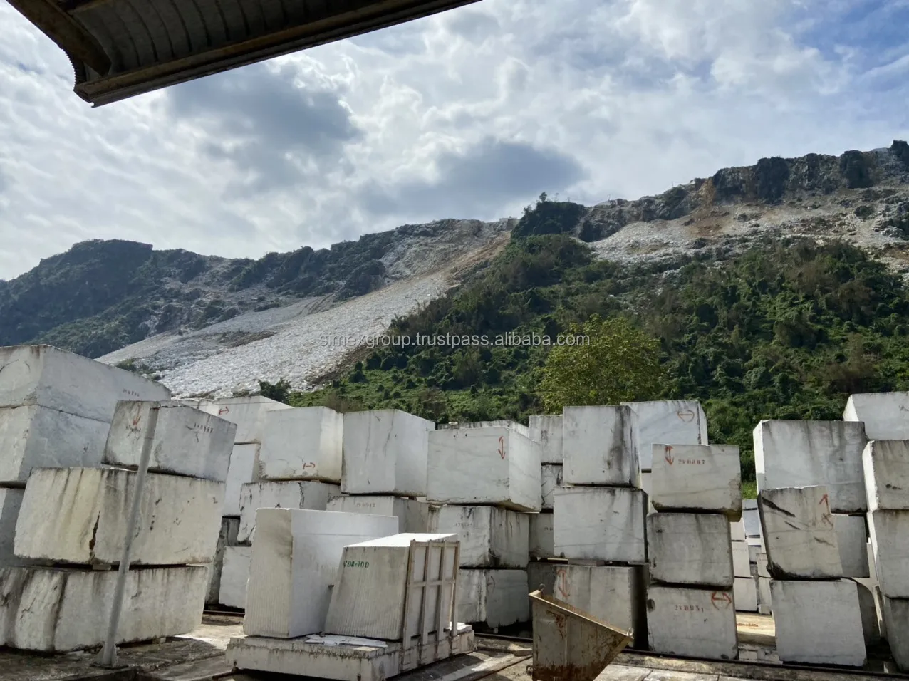 Stone grein marble slab Big Flower Marble Stone Interior and exterior decoration polished Arabescato Marble Slab