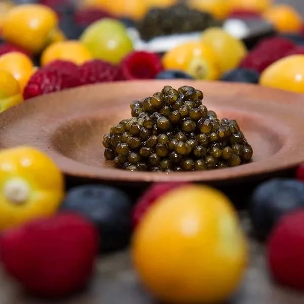 High quality delicious fresh sturgeon caviar
