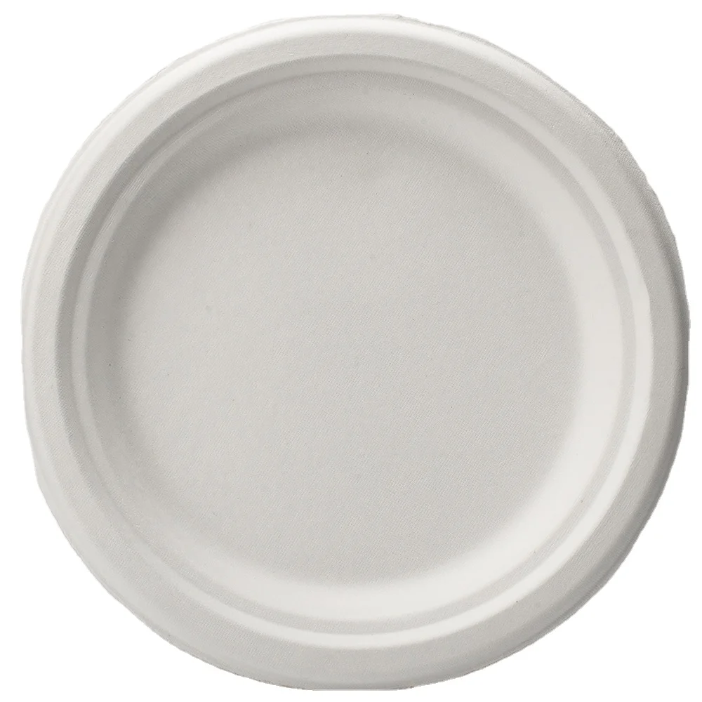 100% Biodegradable Disposable 10 Inch White Plate Bagasse Sugarcane Plates