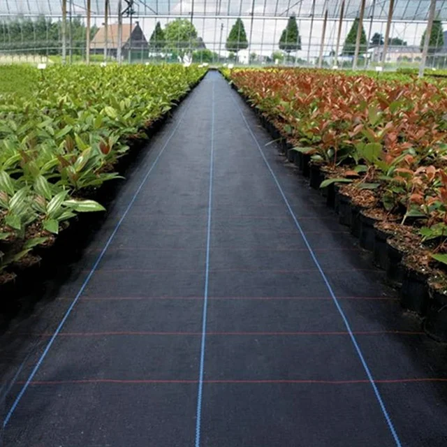 Hot sale Weed Mat PP PE Woven Plastic Weed Control Block Mat Fabric Cloth Weed Barrier Non Woven For Agricultural Ground Cover
