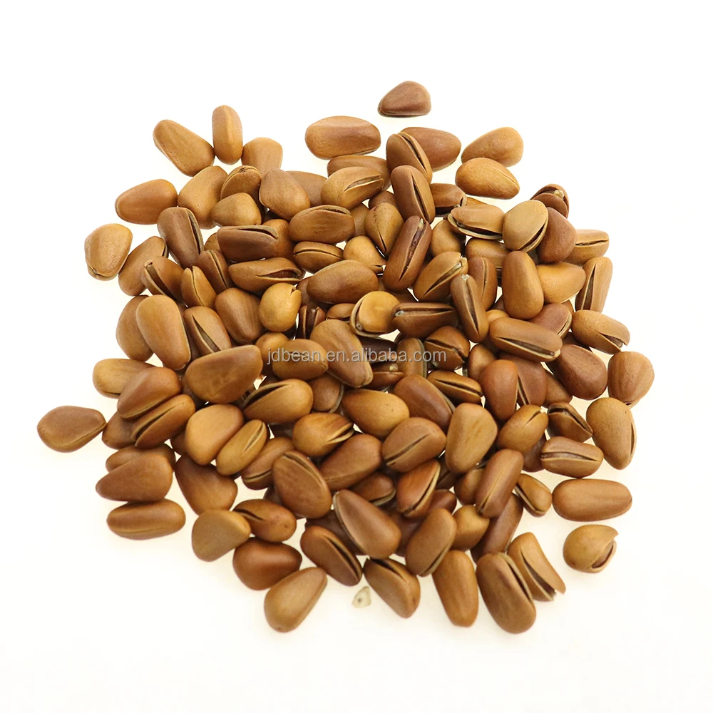 Wholesale Price China Raw And Roasted Organic Dry Pine Nut Kernel Pine Nuts Prices