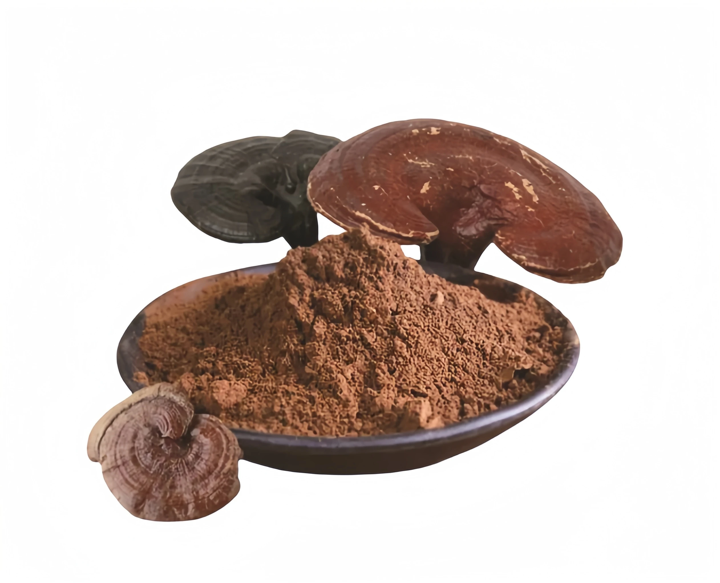 Настраиваемый логотип Ganoderma Lucidum порошок травяной экстракт лечебные добавки для взрослых