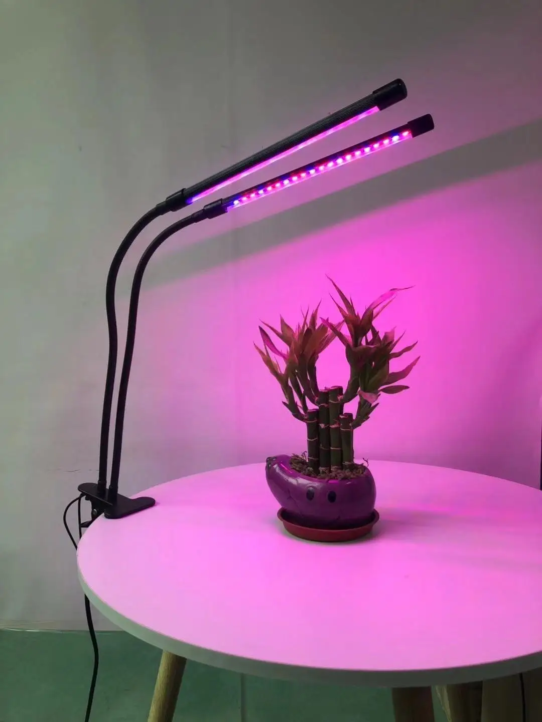 Spot plant lamp full spectrum clip type succulent color cycle timing LED dimming red and blue light succulent fill light