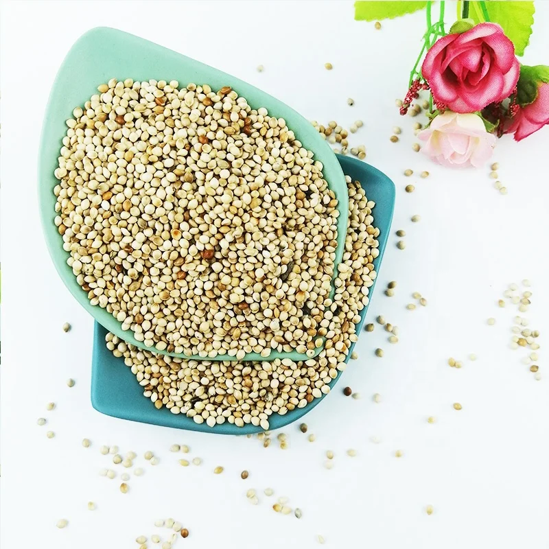 Good Grade Yellow White Broomcorn Millet yellow broom corn millet grains millets