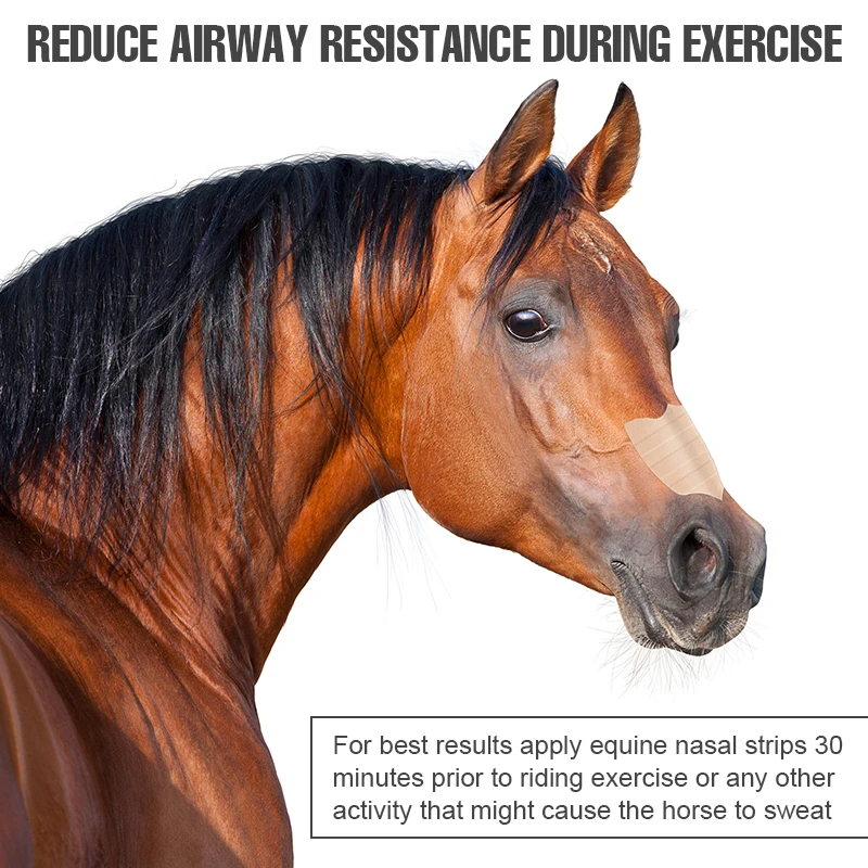 Equine Nasal Strips Equine Nasal Strip skin color Standard