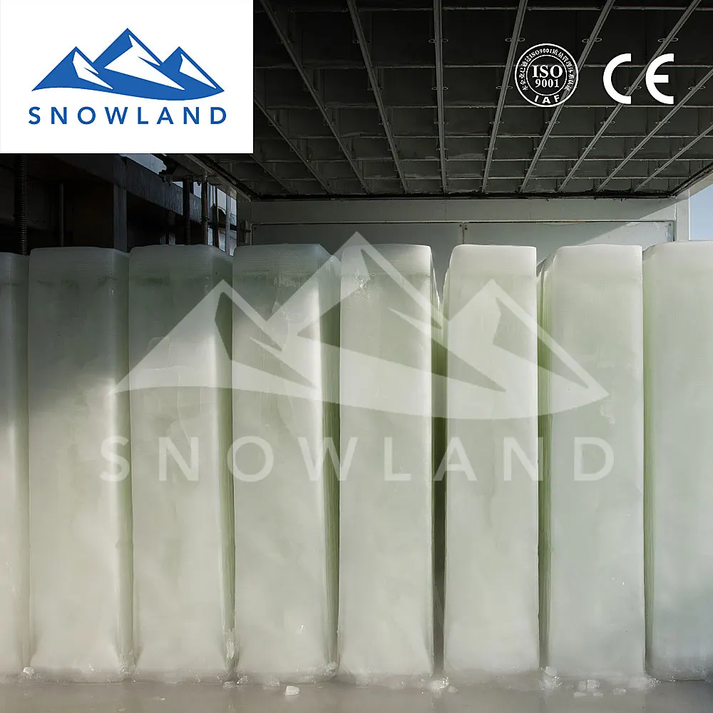 2021 Snowland ice maker for fishery with capacity 5 ton block ice of Intelligent ice production equipment