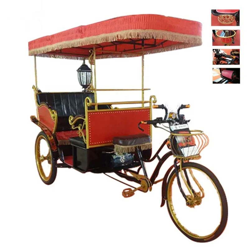 2/3/4/6/passengers tricycle tourist electric pedicab rickshaw auto rickshaw for travel