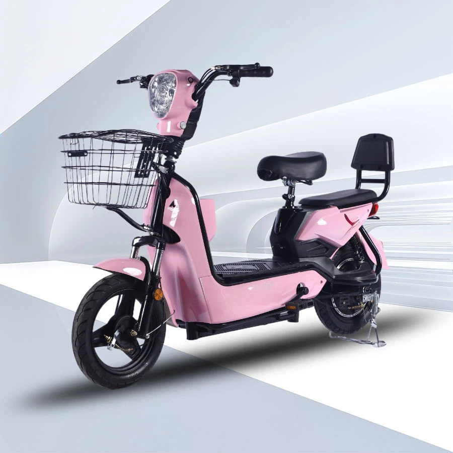 JOYKIE Cheap Prices 1000w 48v Adult Ebike Fat Tire Other Electric City Bike