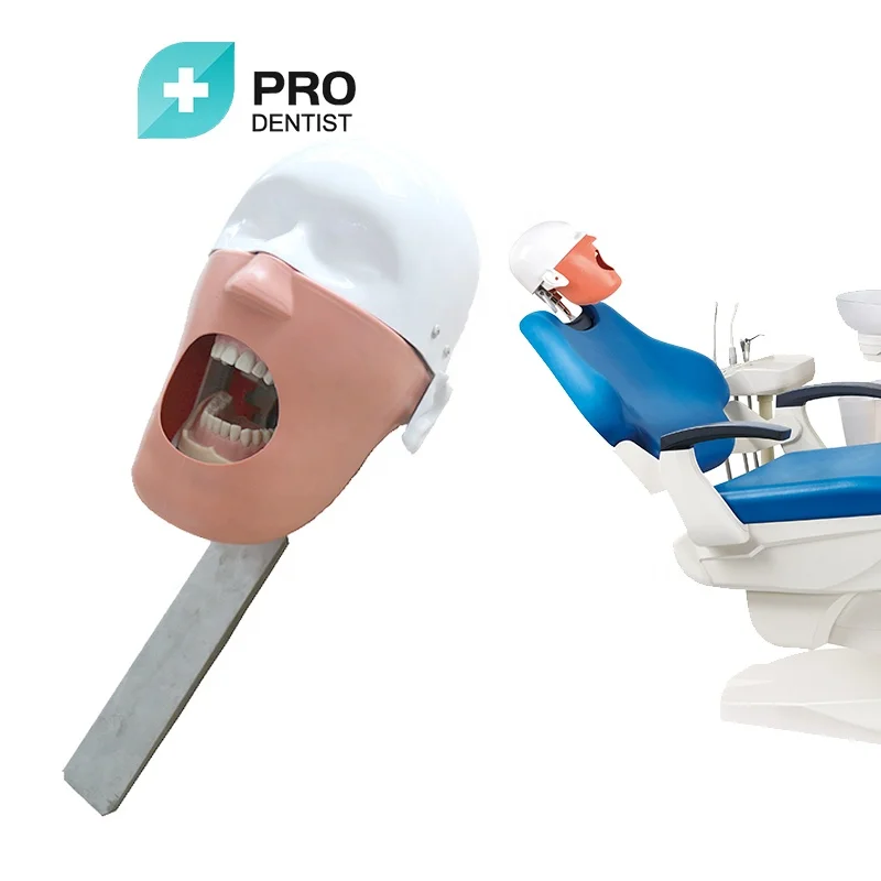 manikin phantom head for training practice for school oral dental phantom head dental simulator